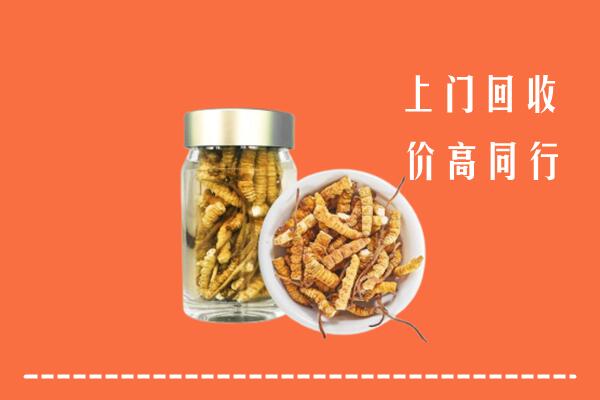 红河回收冬虫夏草